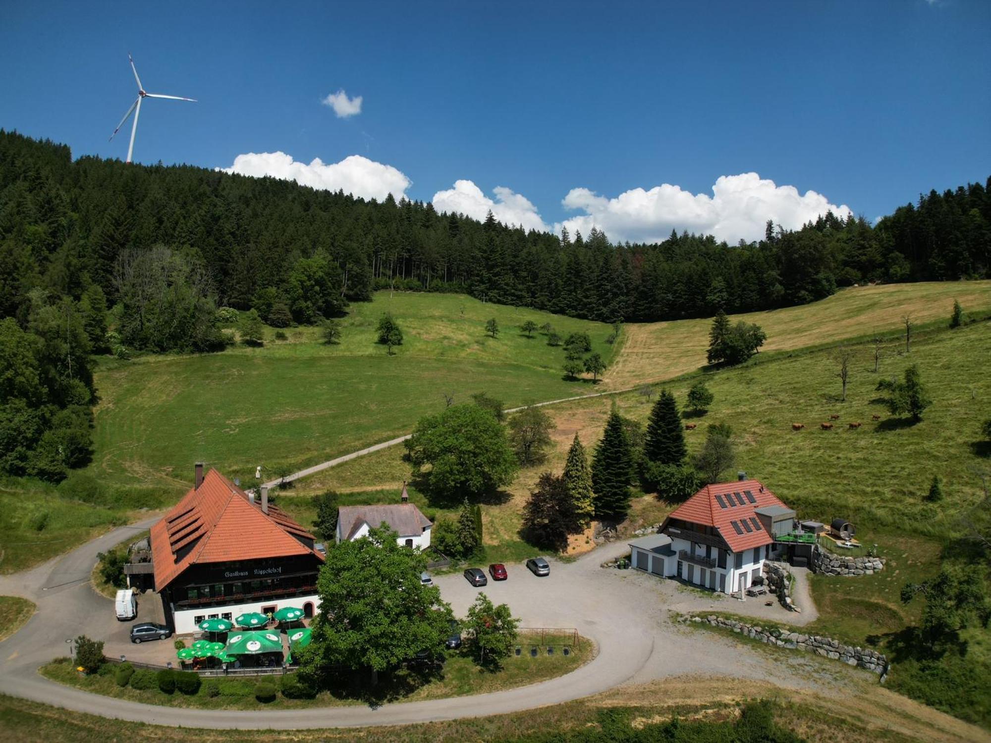 Ferienhaus Wendelinus Mit Pool & Sauna เฮาซาค ภายนอก รูปภาพ