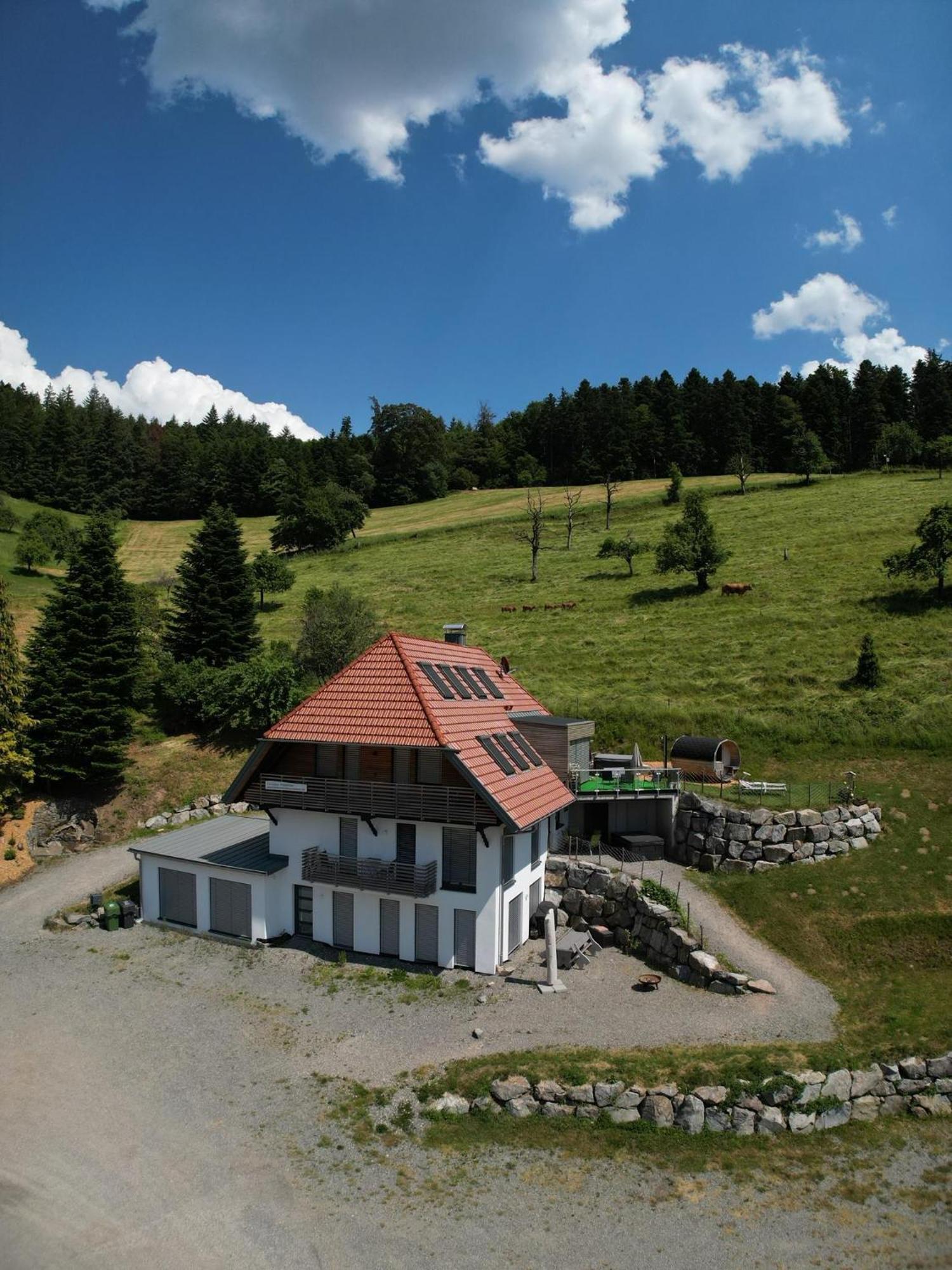 Ferienhaus Wendelinus Mit Pool & Sauna เฮาซาค ภายนอก รูปภาพ